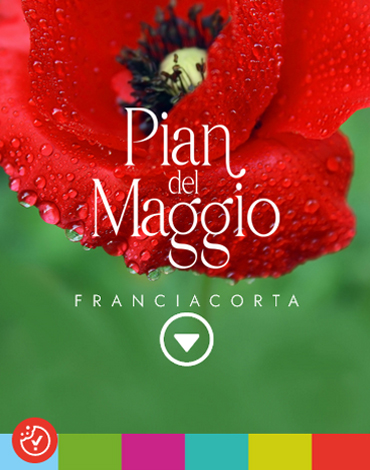 Pian del Maggio - Cantina in Franciacorta